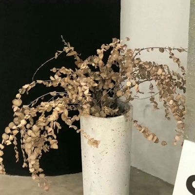 原创兽设世界观设计思路福瑞交流群